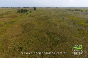 INICIO TOURO.00_01_47_23.Quadro011_b91cf86dbadfc50d8c1503db5ad7ae83b089d795.jpg